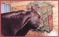 Wall Mount hay rack
