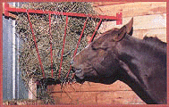 corner mount hay rack